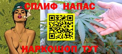 дмт Обь