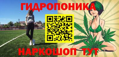 дмт Обь