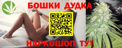 дмт Обь
