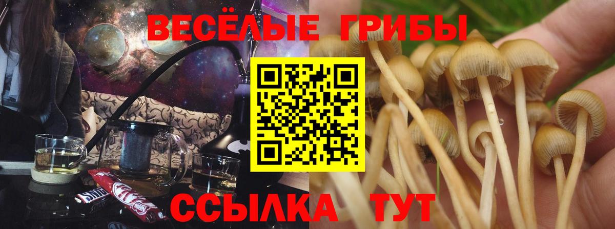 как найти наркотики  Вход с VPN  Скопин  Галлюциногенные грибы ЛСД 